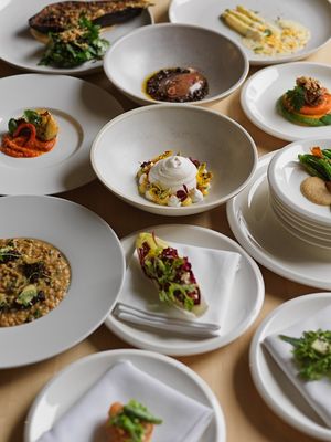 Magu Spring 2025 Flora & Sprout at Magu in Helsinki