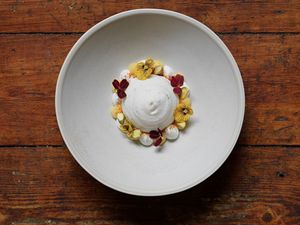 Magu Spring 2025 Flora & Sprout at Magu in Helsinki