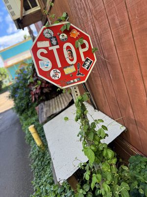  #Veganuary at The Cosmic Kitchen in Haleiwa