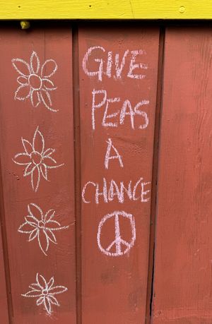  #Veganuary at The Cosmic Kitchen in Haleiwa