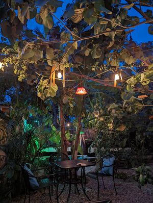  at Holy Moly in Puerto Escondido