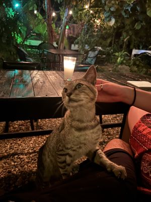   at Holy Moly in Puerto Escondido