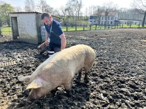   at Forrest and Friends in Kaggevinne