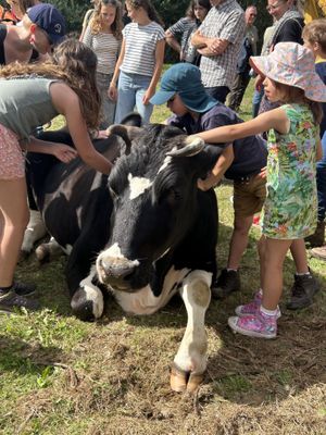   at Forrest and Friends in Kaggevinne