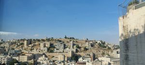 More view at Wild Jordan Center in Amman