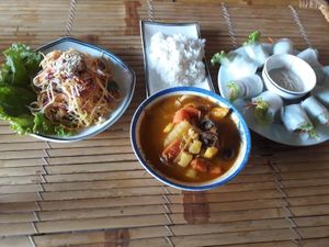 Vegetable curry and spring rolls at Veggie Box in Phong Nha