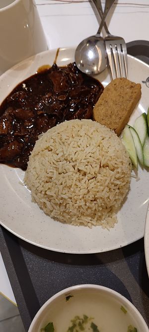 Duck rice at Green Bliss Habitat 綠福苑 - Fortune Centre in Central Singapore