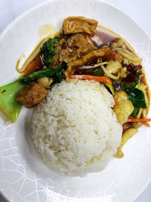 Gong Bao Mushroom rice $4.50 at Green Bliss Habitat 綠福苑 - Fortune Centre in Central Singapore