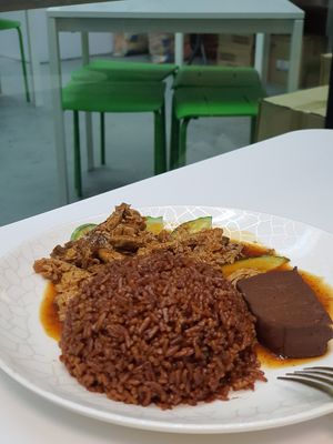 Duck rice at Green Bliss Habitat 綠福苑 - Fortune Centre in Central Singapore
