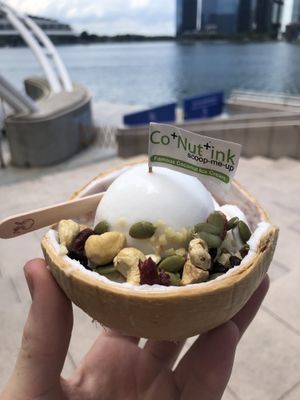 Premium classic with nuts and fruit   at Co+Nut+Ink - Esplanade in Central Singapore