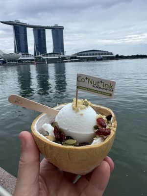 Fruit and nut   at Co+Nut+Ink - Esplanade in Central Singapore