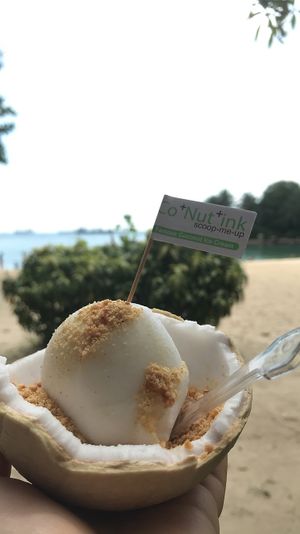 This is the original: coconut ice cream, served in a coconut and topped with shaved peanuts.  at Co+Nut+Ink - Esplanade in Central Singapore