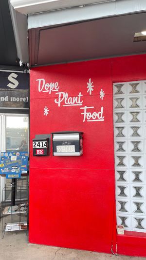  at The BE-Hive in Nashville