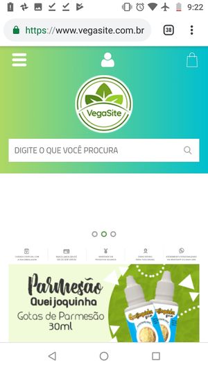 Website foto. https://www.vegasite.com.br at Vegasite in Sao Paulo