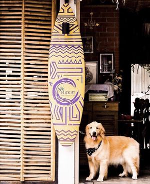 Pet friendly  at MAKAI - Ari in Bangkok