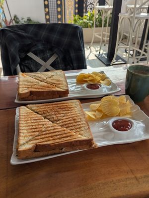 Vegan sandwiches at Kokum Bistro in Jaipur