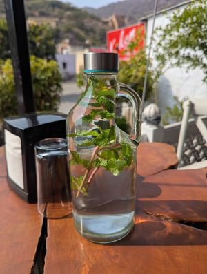 Fresh mint water at Kokum Bistro in Jaipur