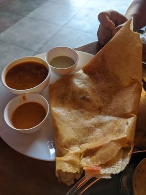 Masala dosa (vegan) at Kokum Bistro in Jaipur