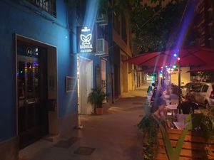 Madrigal at Cafe Madrigal in Valencia