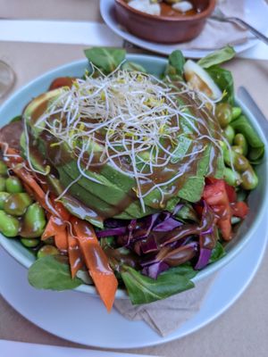 Avocado bowl at Cafe Madrigal in Valencia