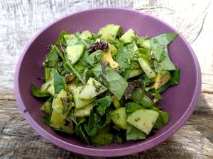 From the Suikido Natural Healing Kitchen - fresh herby avocado salad at Chris Valles - Suikido Nutritionist in Ronne
