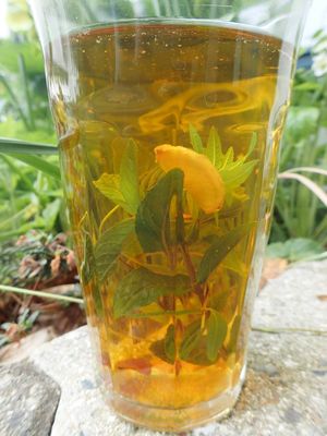 Medicinal and therapeutic herbal tea formulas from herbalist Chris Valles. at Chris Valles - Suikido Nutritionist in Ronne