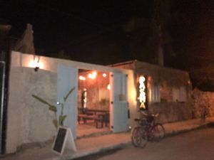 Nights  at Pasha in Tulum