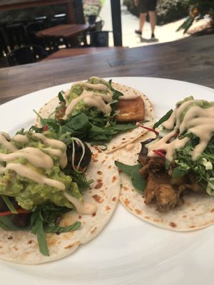 Taco large plate. One eggplant, one mushroom. One tofu. ALL delicious!!!  $22 at BKA Vegan in Burleigh Heads