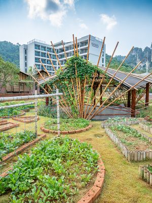 The beautiful garden, and the yoga shala right next to the restaurant at Cooper's Specialty Kitchen in Ao Nang
