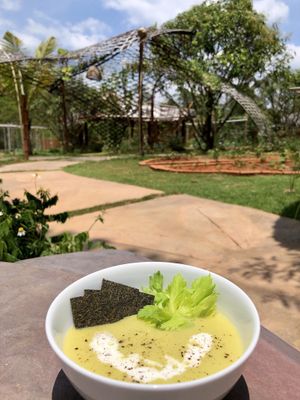 Celery cream soup with dehydrated spinach/zucchini crackers at Cooper's Specialty Kitchen in Ao Nang