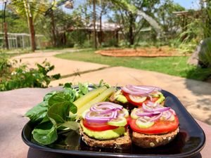 Open avocado sandwich  at Cooper's Specialty Kitchen in Ao Nang
