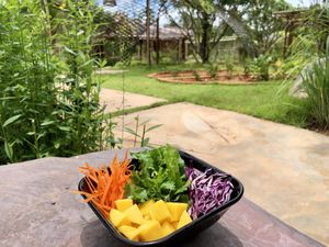 Mango salad with peanut sauce  at Cooper's Specialty Kitchen in Ao Nang
