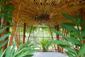 Gardens at Cooper's Specialty Kitchen in Ao Nang