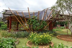 Gardens at Cooper's Specialty Kitchen in Ao Nang