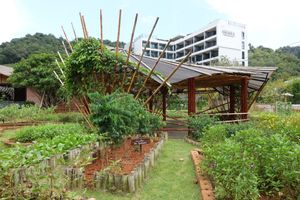 Gardens at Cooper's Specialty Kitchen in Ao Nang