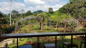 View from cafe at Cooper's Specialty Kitchen in Ao Nang