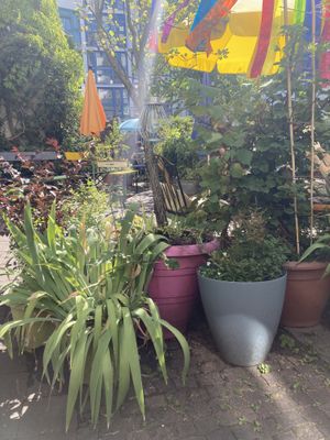   at Gartensalon in Munich