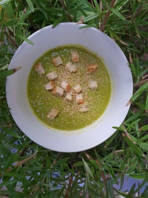 Krem z Groszku at Chwast Prast in Torun