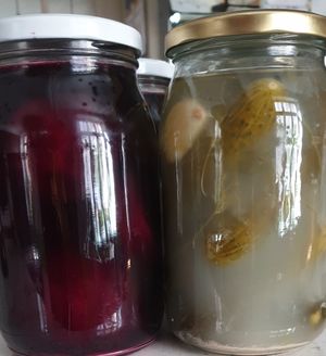 Nasze Kiszonki at Chwast Prast in Torun