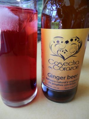 I mixed jamaica tea and ginger beer at Vgan111 in Morelia