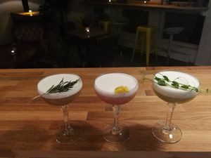 Superb cocktails 100% plantbased at The Herbivore  in Lund
