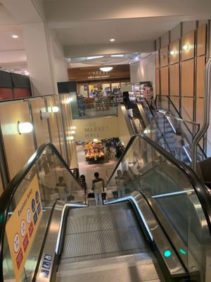 Escalators take you down to the cavernous basement level  at Whole Foods Market - Kensington High St in West London