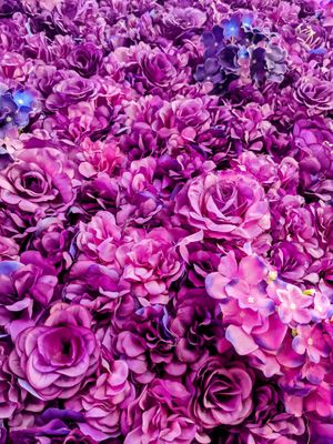 Cute decor at Naked Bakery in Edinburgh