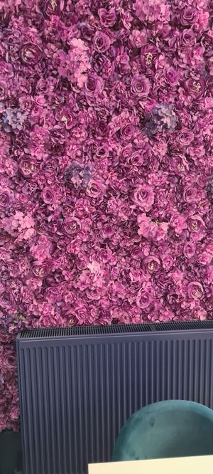  at Naked Bakery in Edinburgh