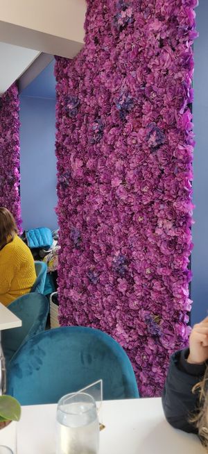 Wow at Naked Bakery in Edinburgh