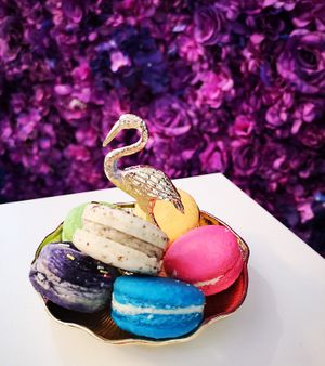 Macarons at Naked Bakery in Edinburgh