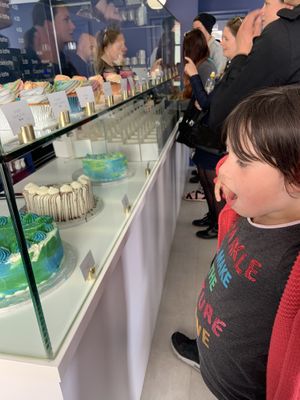 What to choose! at Naked Bakery in Edinburgh