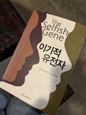   at HOME Bistro and Cafe in Busan