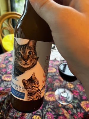Cat saves the universe beer  at HOME Bistro and Cafe in Busan