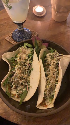 Tacos  at HOME Bistro and Cafe in Busan